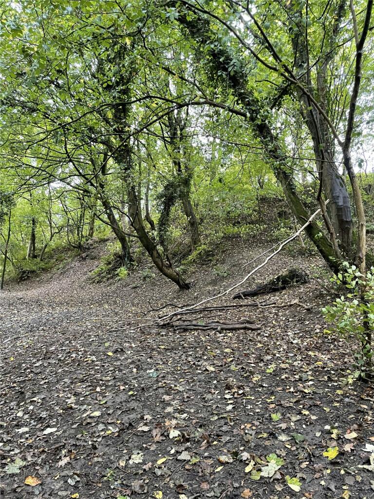 Additional property image - Garley Gill Woodland, Dearham, Maryport, Cumbria, CA15