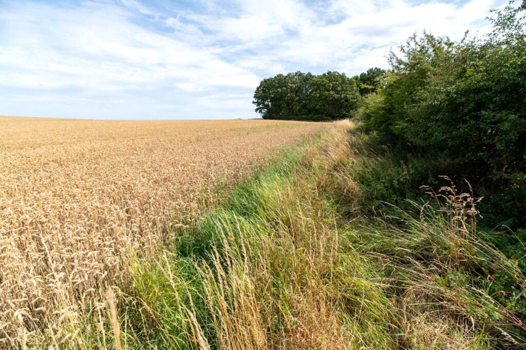 Main image of property: Lawfield Lot 11 Steading Strip, Dalkeith, Midlothian, EH22