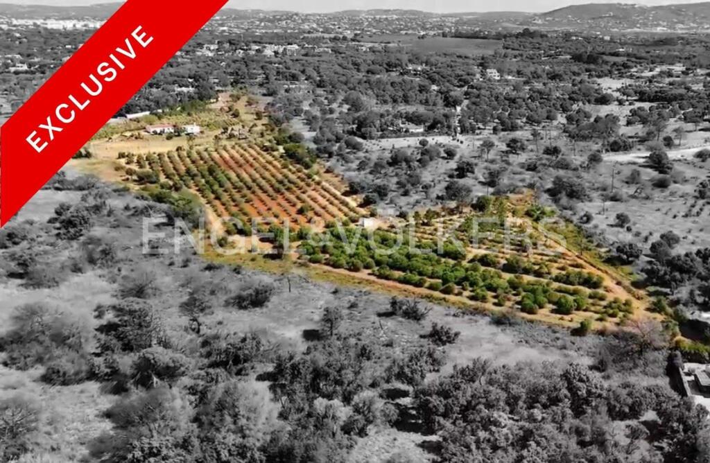 Main image of property: Algarve, Almancil