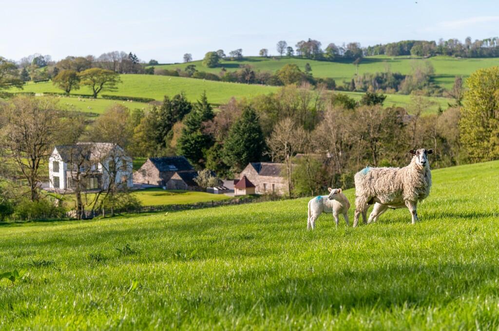 Additional property image - Bluebell House and Greaves, Dacre, CA11