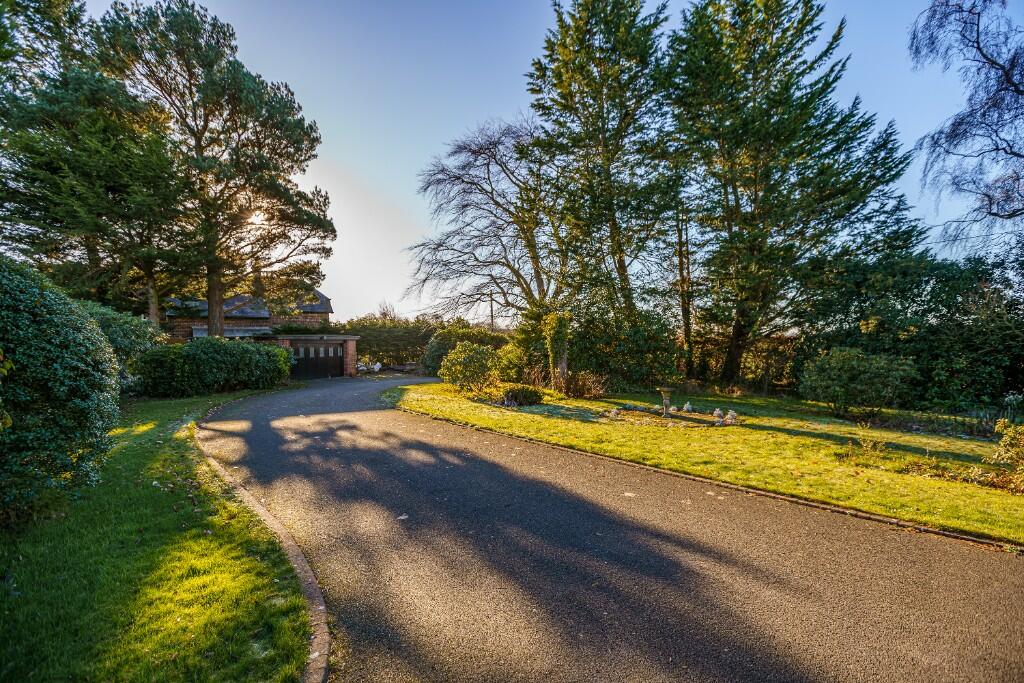 Additional property image - Braelees, Kirkandrews-On-Eden, CA5