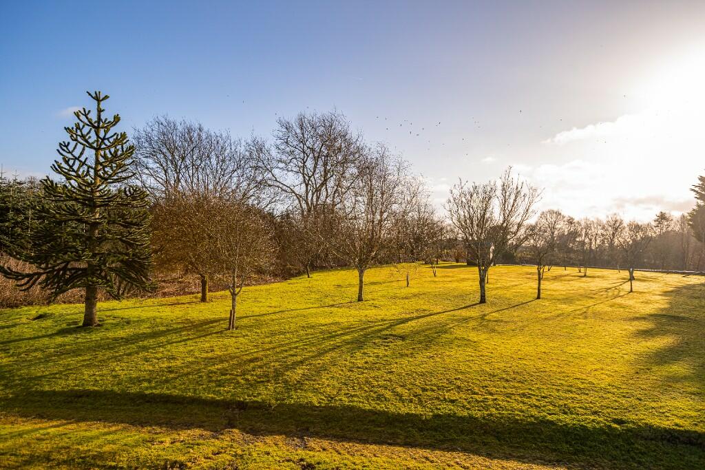 Additional property image - Mill Grange, near Duncow, Dumfries