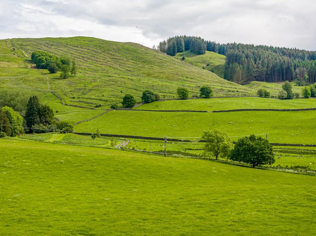 Additional property image - Shenavall, Moffat, Dumfries and Galloway, DG10