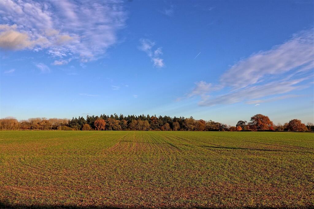 3 bedroom semidetached house for sale in Langford Road, Langford, Maldon, CM9 4SU, CM9