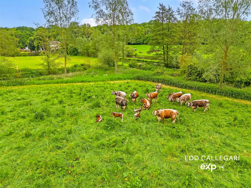 Additional property image - Chalkney Mill, Earls Colne, Colchester, CO6 2PR