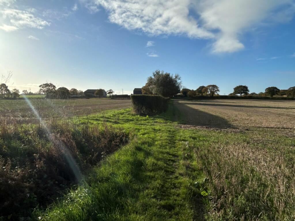 Additional property image - THE STREET, KIRBY-LE-SOKEN