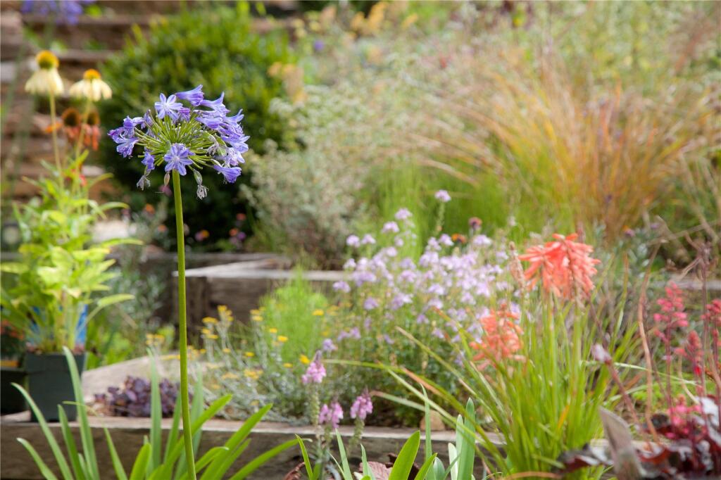 Additional image 29 of Holton, Wincanton, Somerset, BA9