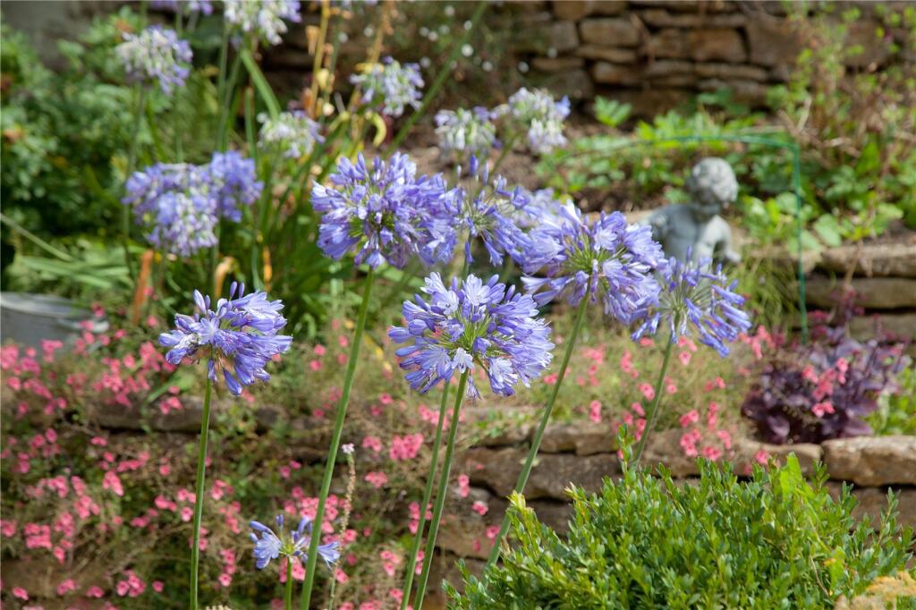 Additional image 30 of Holton, Wincanton, Somerset, BA9