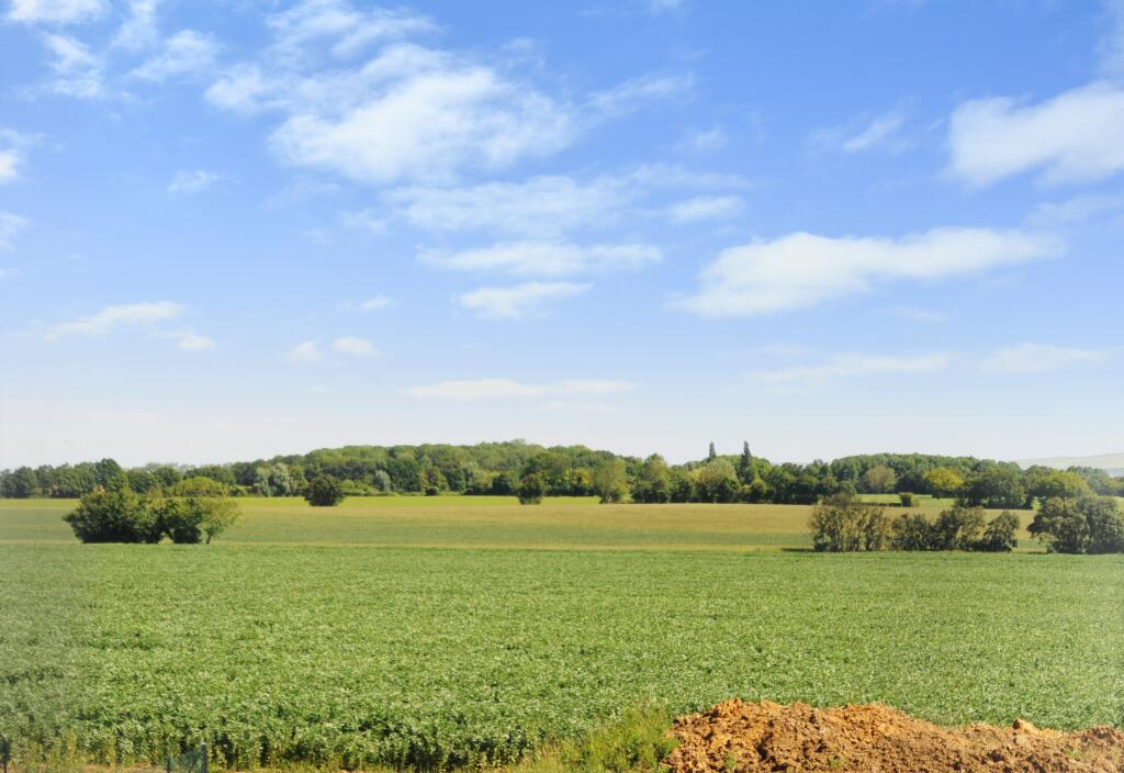 Additional property image - Follyfield Gardens, Stebbing
