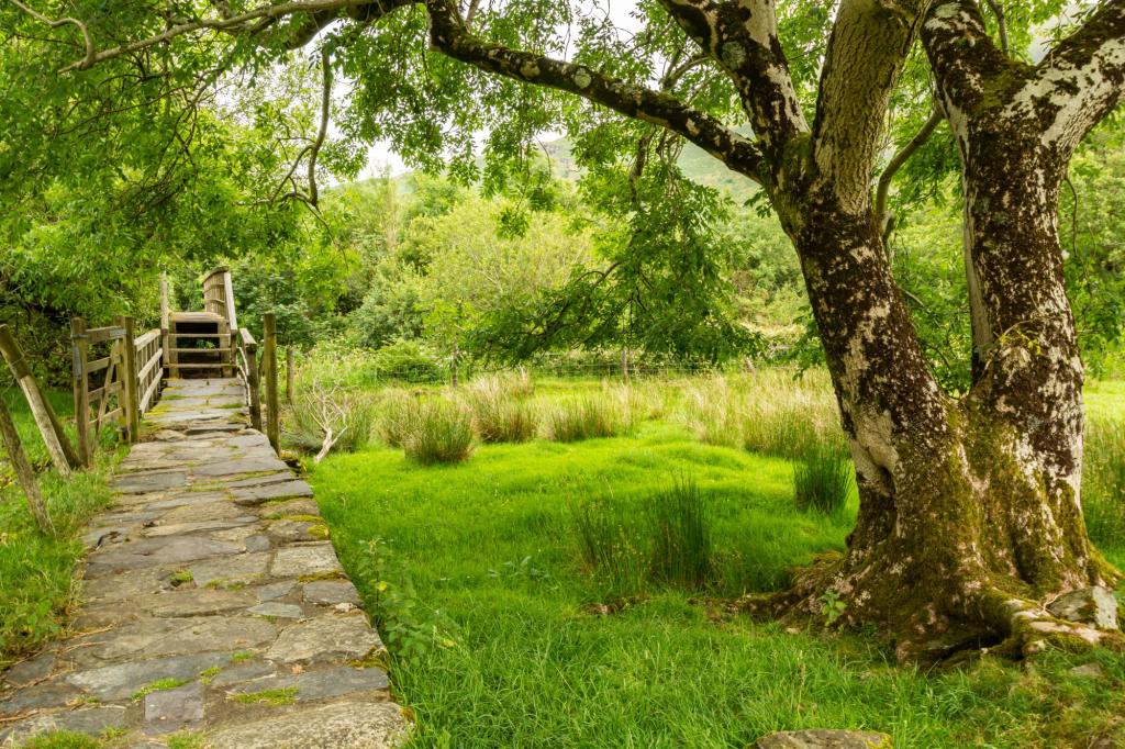 Commercial property for sale in Betws Garmon, Caernarfon, Gwynedd, LL54