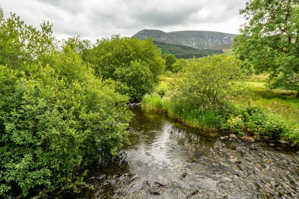 Commercial property for sale in Betws Garmon, Caernarfon, Gwynedd, LL54