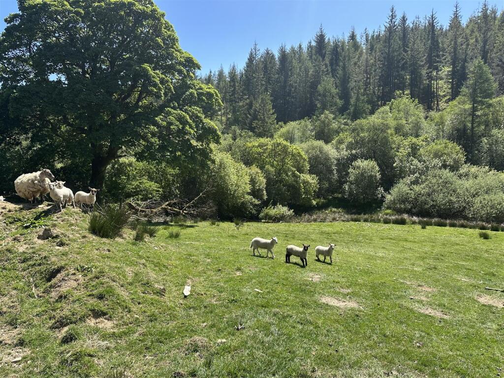 Main image of property: Rhydcymerau, Llandeilo