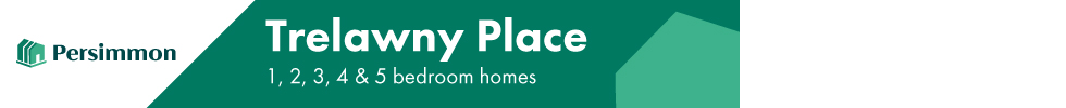 Persimmon Homes Suffolk , Trelawny Place