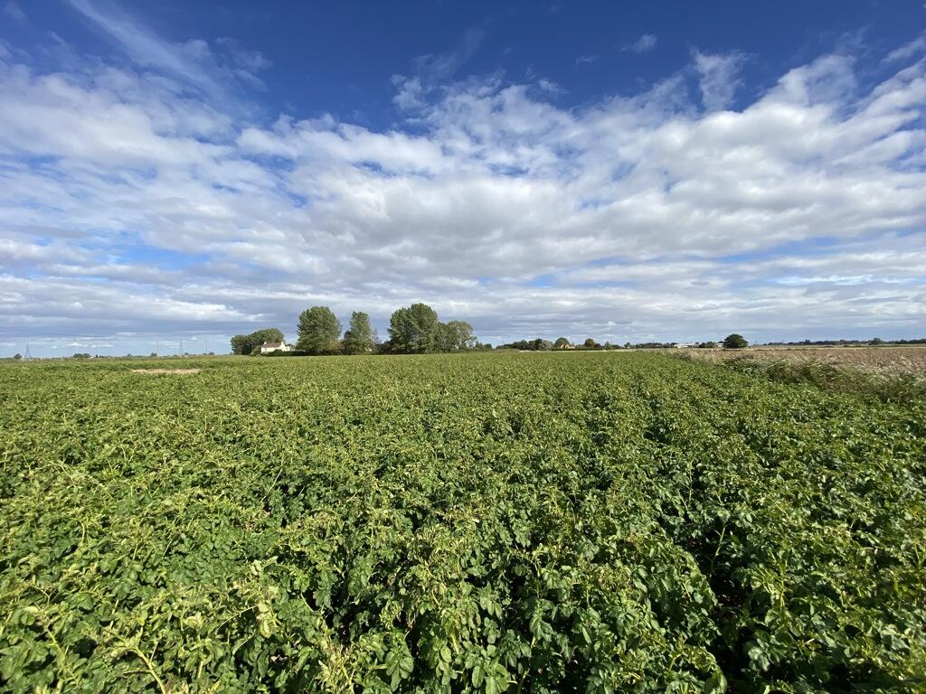 Main image of property: Acres, Watergate, Quadring, Spalding, Lincolnshire, PE11 4PY