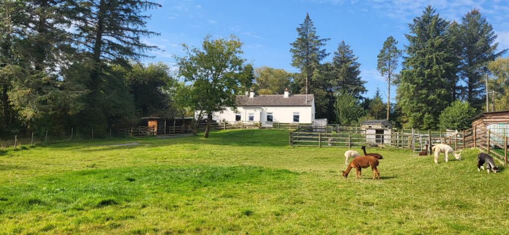 Main image of property: `CURRAGHDUFF FARM`, CURRADUFF, OUGHTERARD, CO. GALWAY, H91 R2Y7.