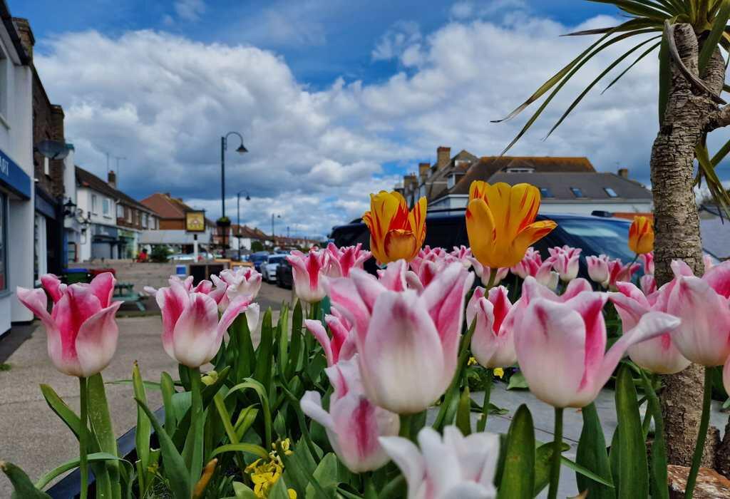 Additional property image - Harrison Crescent, Littlehampton, West Sussex