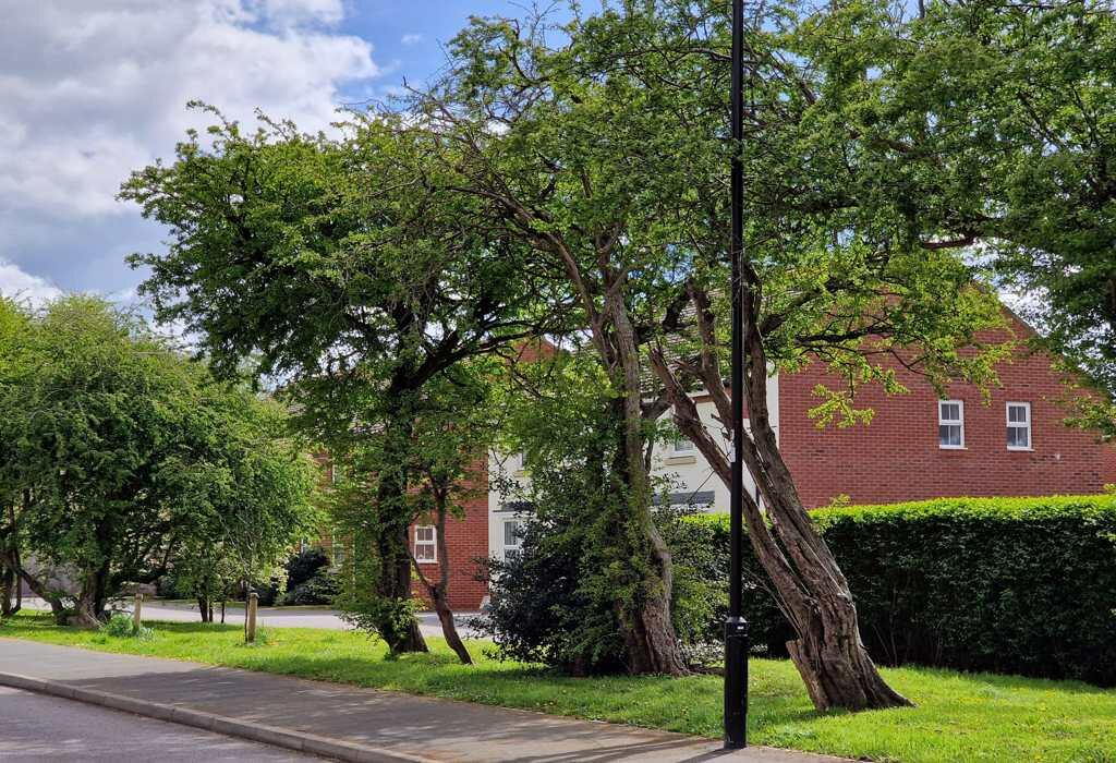 Additional property image - Harrison Crescent, Littlehampton, West Sussex