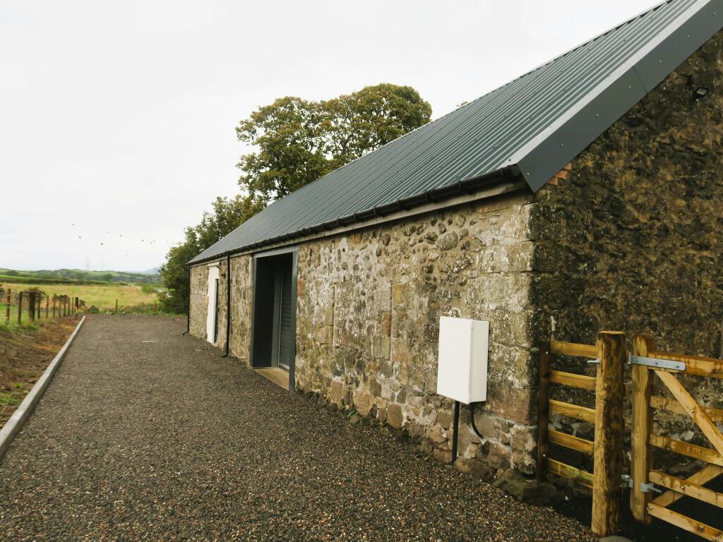 IMG_2155 adjusted.JPG