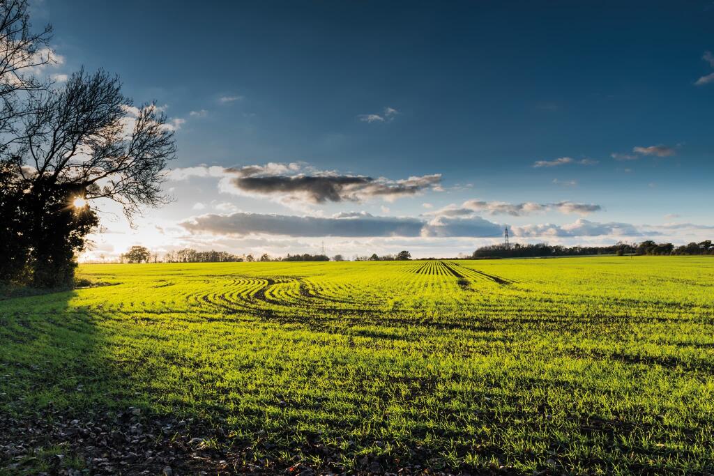 Additional property image - St James' Park off St James' Way
Whittington Way
Bishop's Stortford,
CM23 4AS