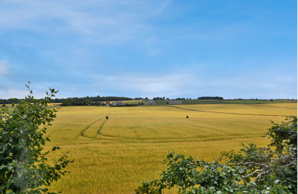 Additional property image - Cockley Croft, Maryculter, Aberdeen, Aberdeenshire