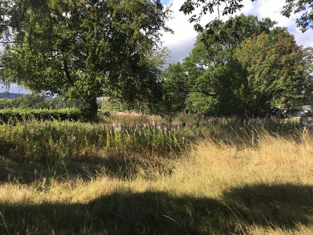 Additional property image - Plot of land, Crossroads, Fordoun, Laurencekirk, AB30 1SJ