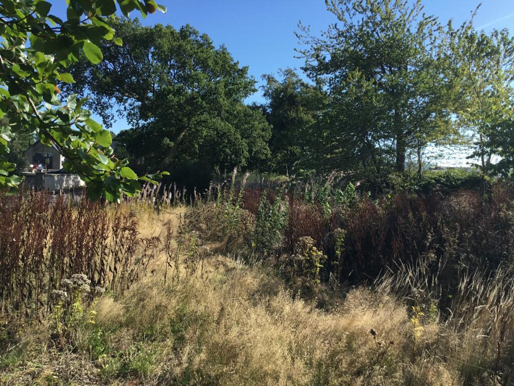 Additional property image - Plot of land, Crossroads, Fordoun, Laurencekirk, AB30 1SJ