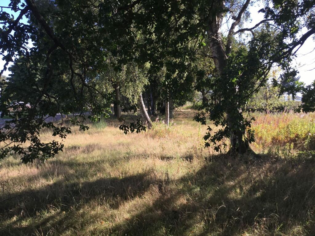 Additional property image - Plot of land, Crossroads, Fordoun, Laurencekirk, AB30 1SJ