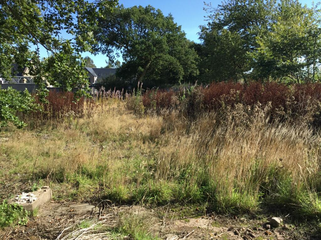 Additional property image - Plot of land, Crossroads, Fordoun, Laurencekirk, AB30 1SJ