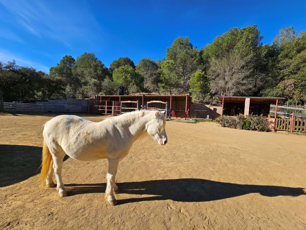 Land for sale in Catalonia, Tarragona, Riudecanyes, Spain