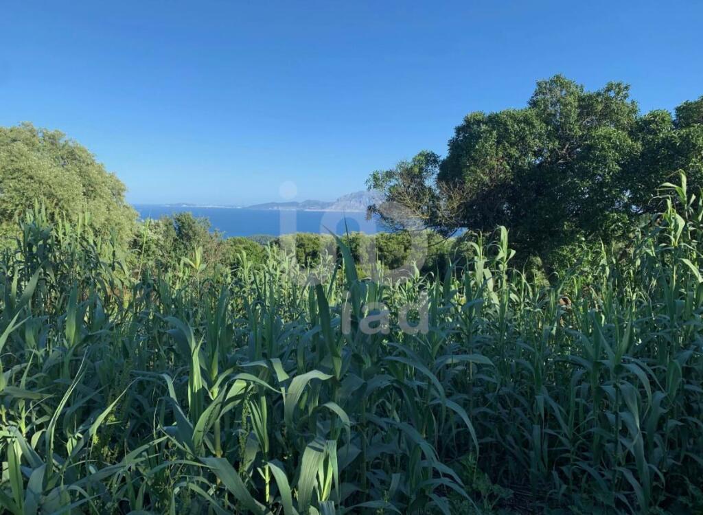 Land for sale in Andalucia, Cádiz, Tarifa, Spain