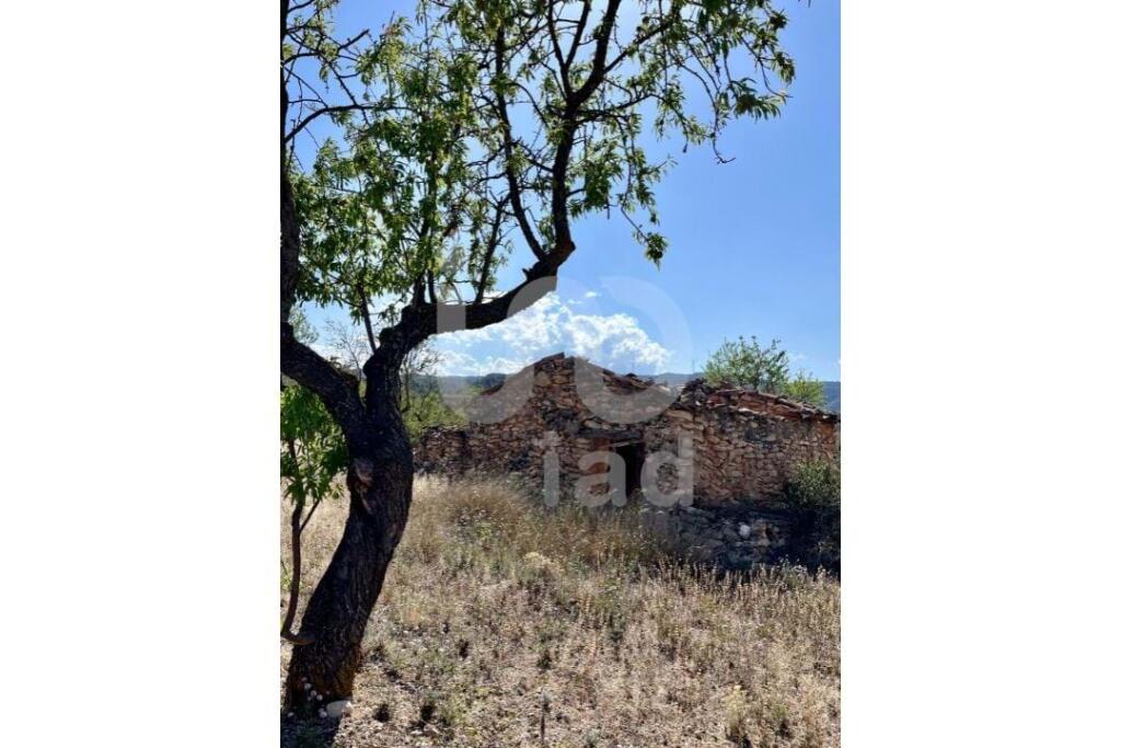 Land for sale in Catalonia, Tarragona, Ascó, Spain