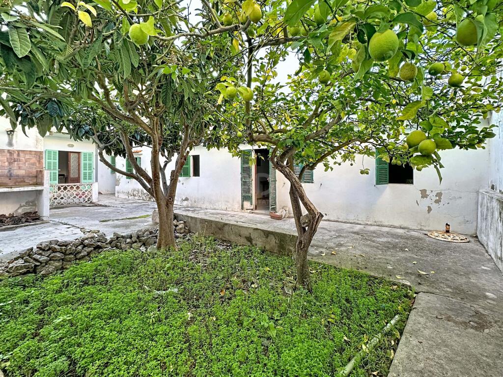 Main image of property: Balearic Islands, Mallorca, Pollensa