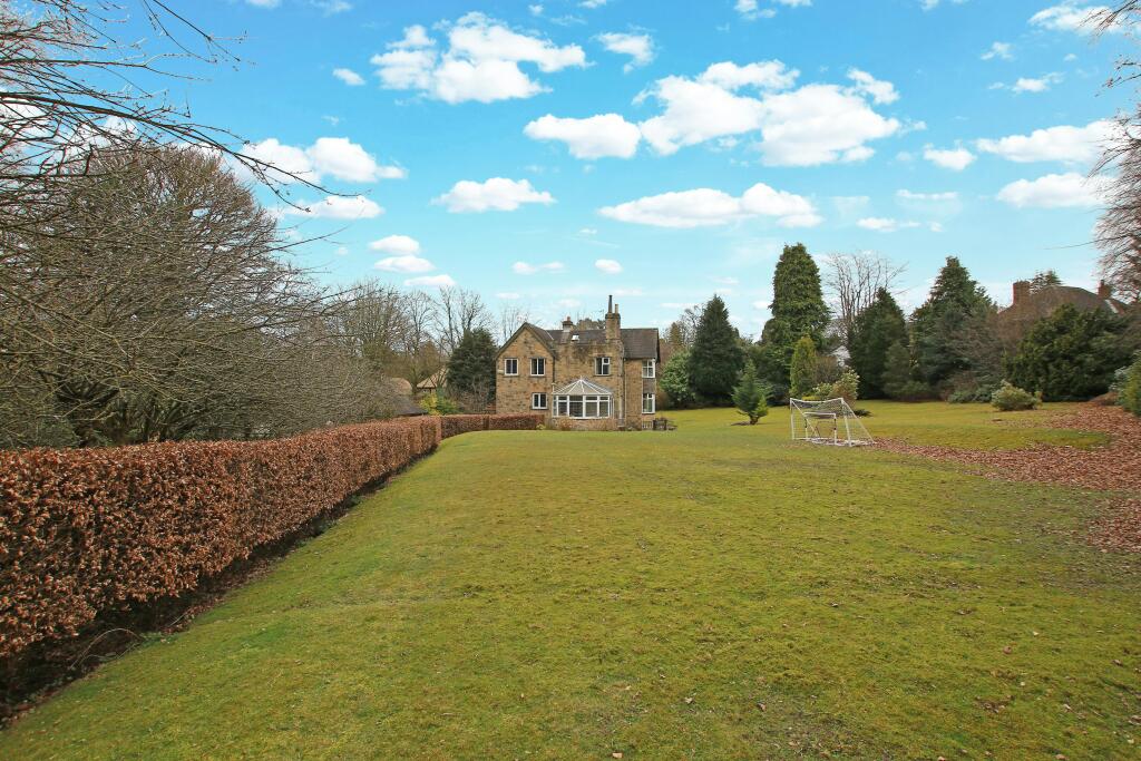 H7D_4490 edit blue sky.jpg