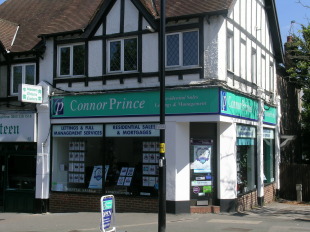 Connor Prince, Worcester Parkbranch details
