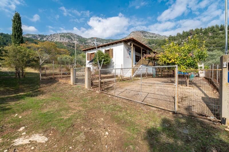 Main image of property: Eastern Macedonia and Thrace, Kavala, Potamia