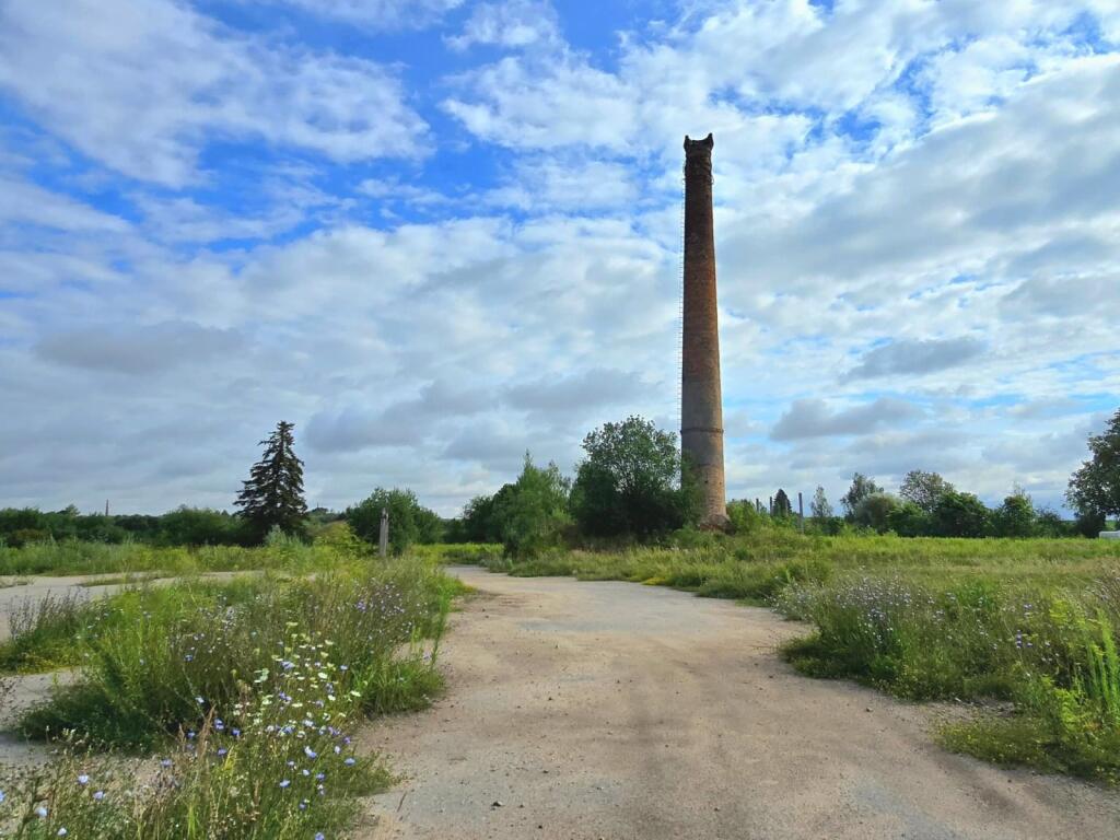 Additional property image - Bauska, Mezotne, Latvia