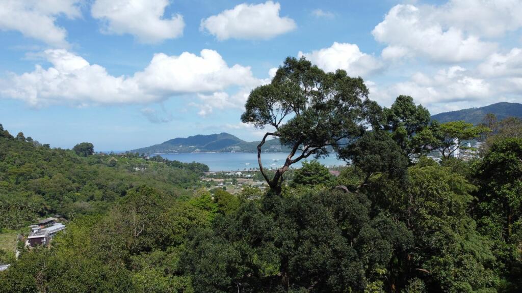 Plot for sale in Phuket, Kathu, Thailand