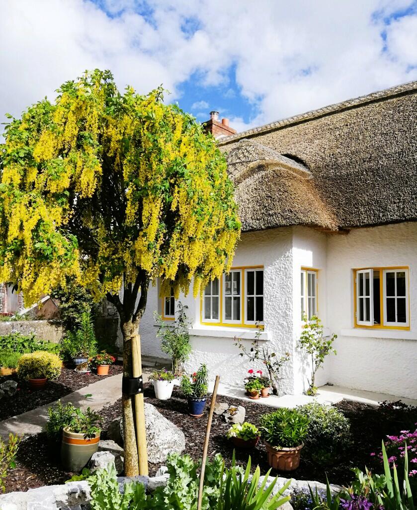 2 bedroom Town House for sale in Adare, Limerick