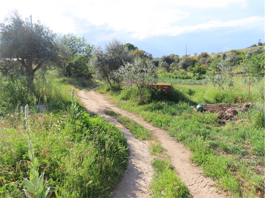 Property for sale in Beira Baixa, IdanhaaNova, Portugal