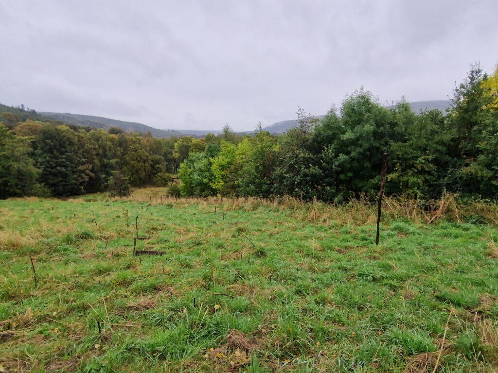 Main image of property: Building Plot At Hillside House, Rothes, Aberlour, Moray, AB38 7AQ