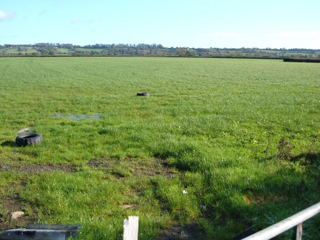 Additional property image - Vigars Leaze, Battspool Bridge, Wincanton, Somerset, BA9 9RA