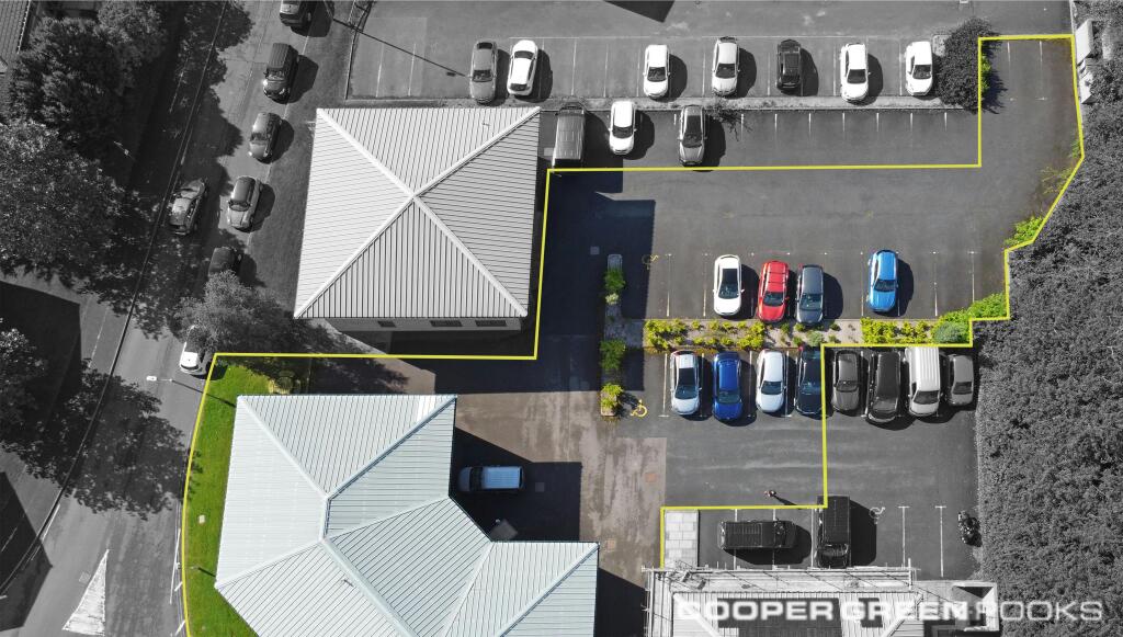 Drone from above for parking Green line and BW.jpg