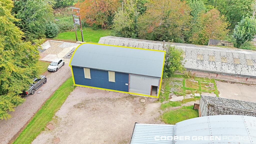 Green line front shot.jpg