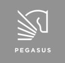 Pegasus Homes Estate Agent Logo