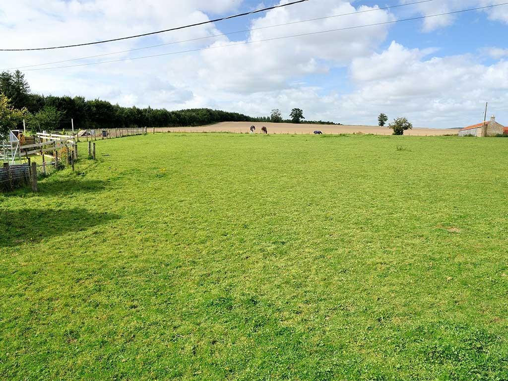 Plot for sale in Residential Plot, Burnside Farm, Kelso, Scottish Borders, TD5 8NR, TD5