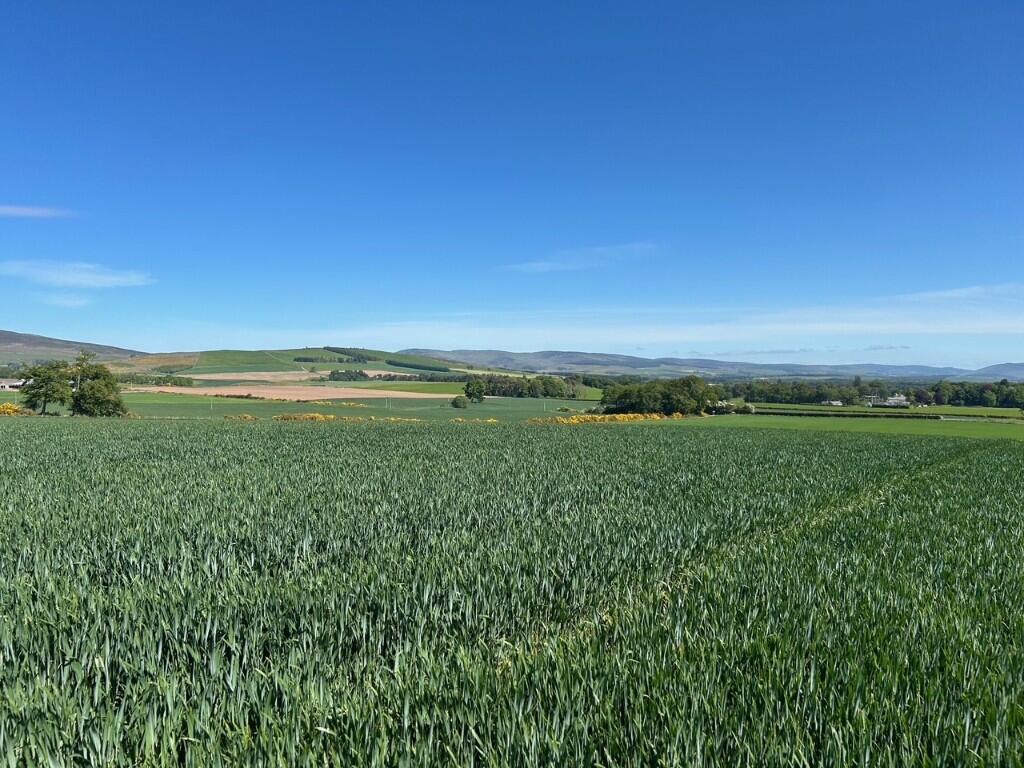 Main image of property: Land at Balrennie Farm, Edzell, Angus, DD9 7QN