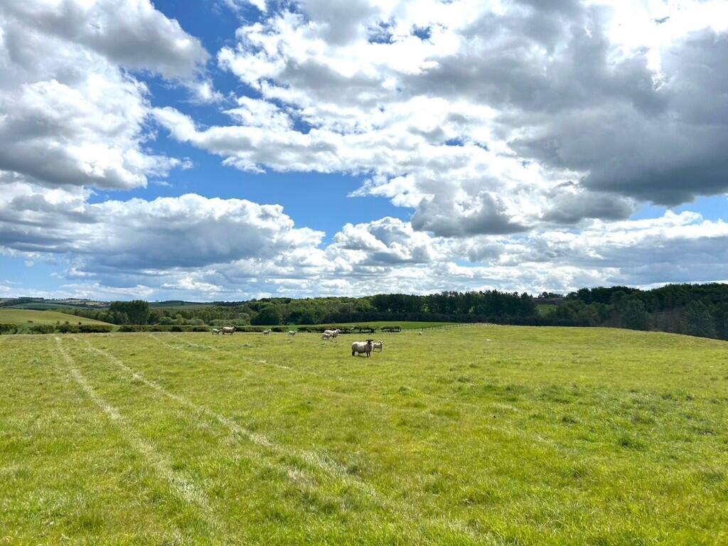 Main image of property: Naboth's Vineyard, Auchencrow, Duns, Berwickshire, TD11