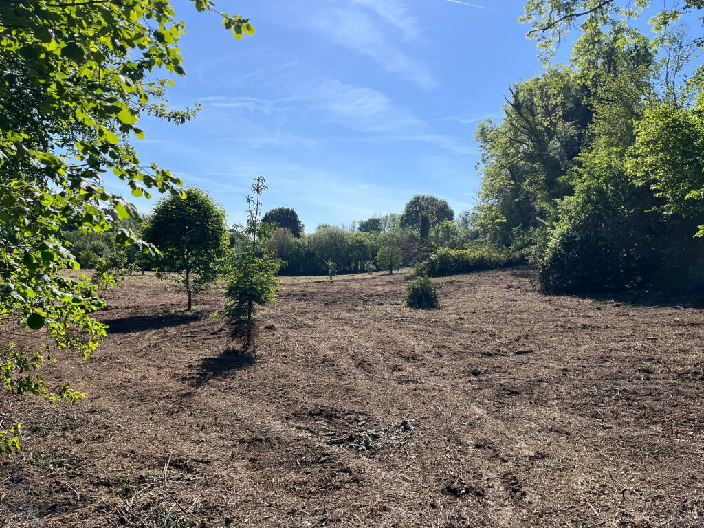 Main image of property: Lower Combe, Buckastleigh