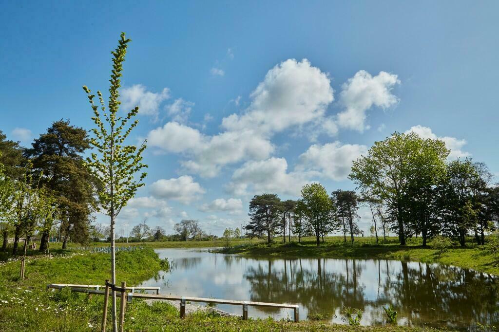 Additional property image - Denny End Road, 
Waterbeach, 
Cambridge, 
CB25 9QE