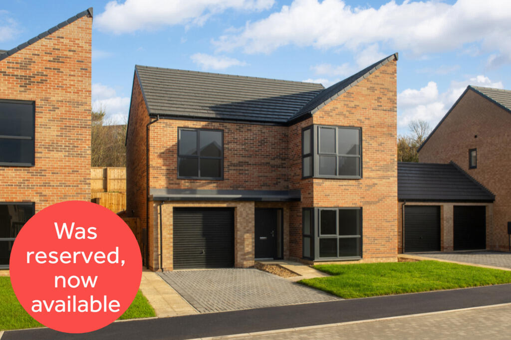 4 bedroom detached house for sale in Mount Ridge, Birtley, DH3